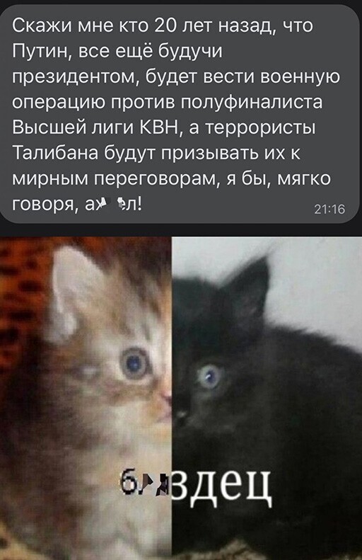 Смешные и познавательные картинки