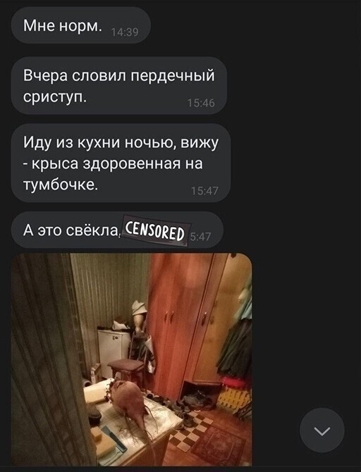 Смешные и познавательные картинки