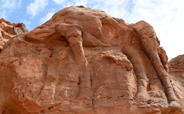 Огромная рельефная резьба 8000-летних верблюдов в Саудовской Аравии, которая считается самой старой резьбой в мире. Старше Стоунхенджа (5000 лет) и Великих пирамид (4500 лет)