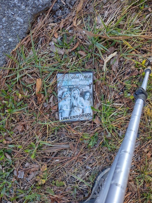 20. "Я нашел на обочине дороги в Алабаме DVD-диск с программой для взрослых Girls Gone Wild"