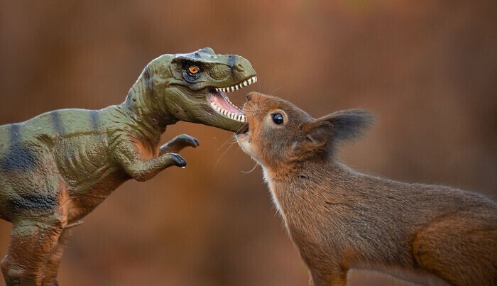 Фотограф устроил фотосессию белок и динозавров