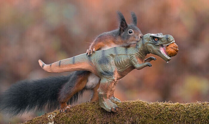 Фотограф устроил фотосессию белок и динозавров