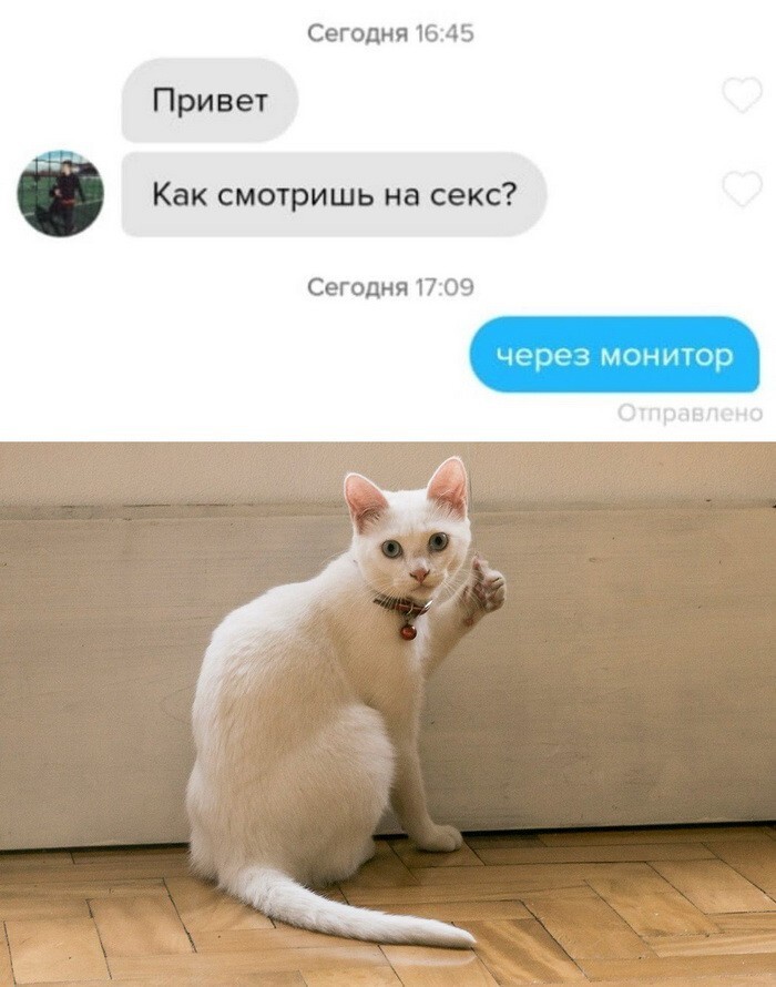 Скрины из соцсетей