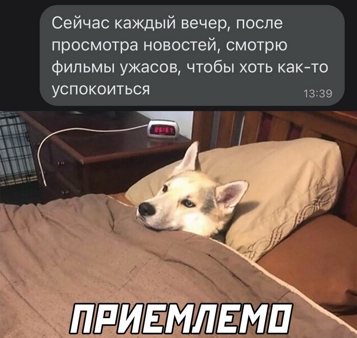 Скрины из соцсетей