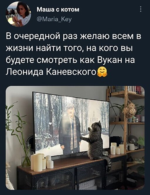 Смешные и познавательные картинки