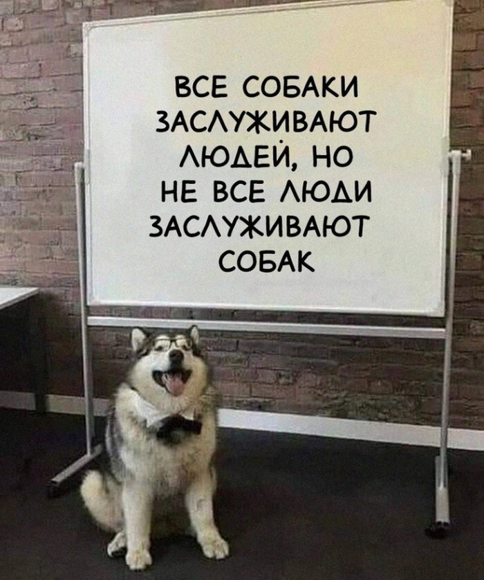 Скрины из соцсетей