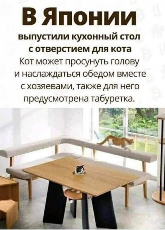 Скрины из соцсетей