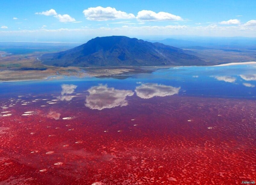 Озеро Натрон , Танзания