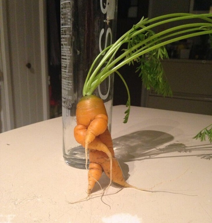 Морковка читает реп