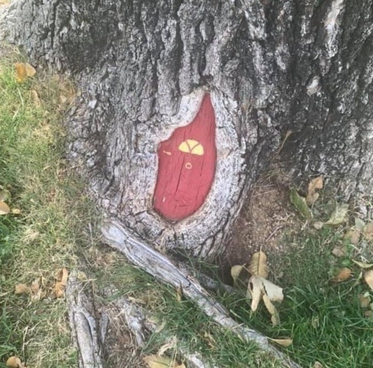 Маленькая "дверка" в дереве