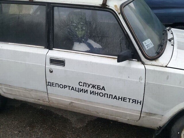 Автовсячина