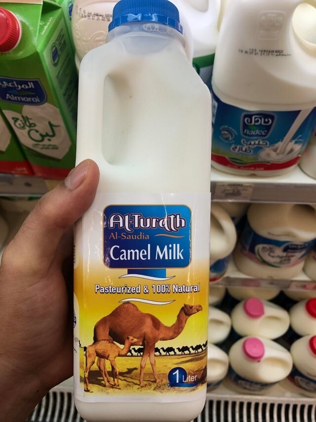 В Саудовской Аравии на полках есть верблюжье молоко 