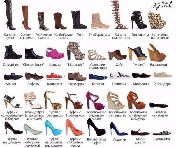 Расширенная версия по женской обуви