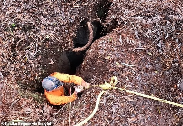 Гаваец спустился в расщелину в активном вулкане, чтобы спасти застрявшую в ней собаку
