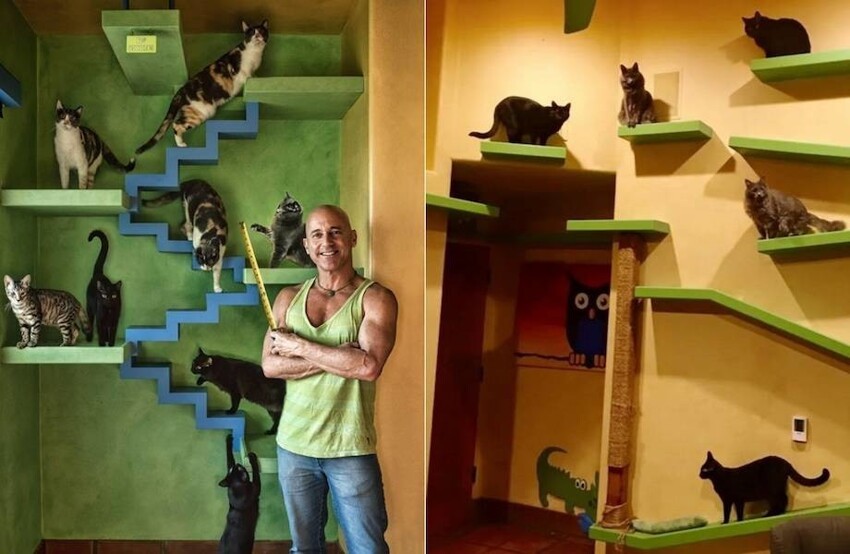 20 фото «кошачьего рая», в который мужчина переоборудовал свой дом