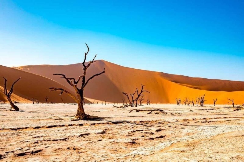 Древние пустынные технологии сохранения воды и охлаждения воздуха