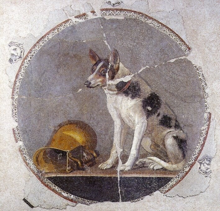 Пёс с виноватым видом, изображён на египетской мозаике 200-190 до н.э.