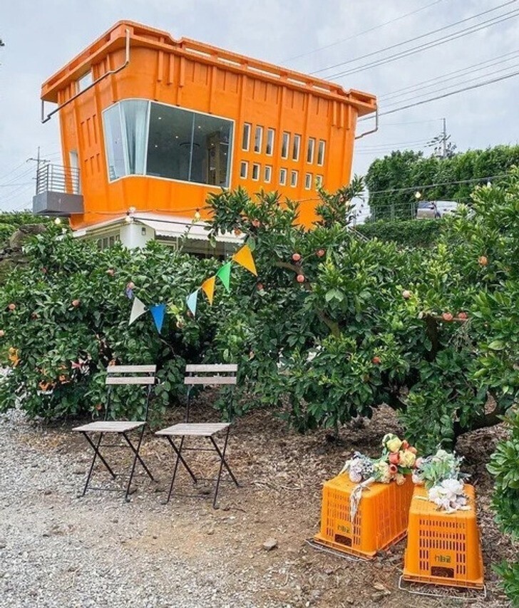 23. Кафе в виде корзины рядом с апельсиновой рощей в Чеджу, Южная Корея
