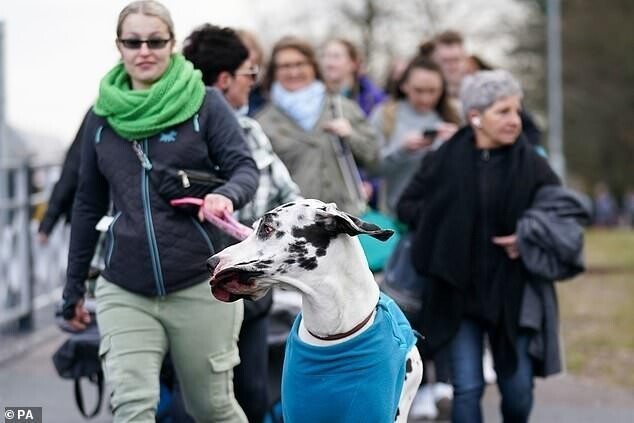 Самая большая в мире выставка собак открылась в Британии