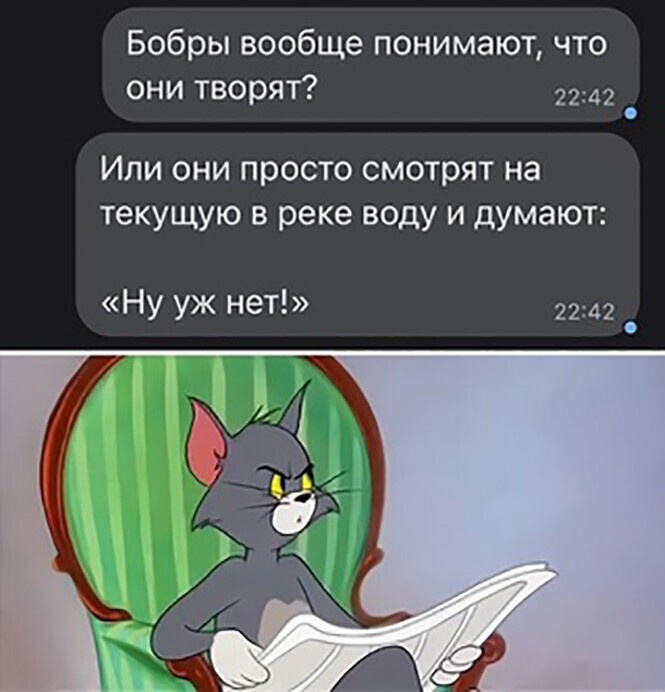 Смешные и познавательные картинки