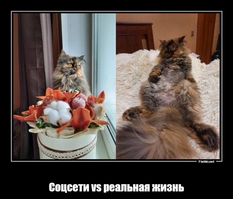 Соцсети vs реальная жизнь