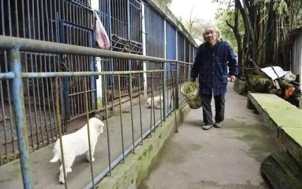 Мужчина из Китая десятилетиями заботится о покалеченных животных