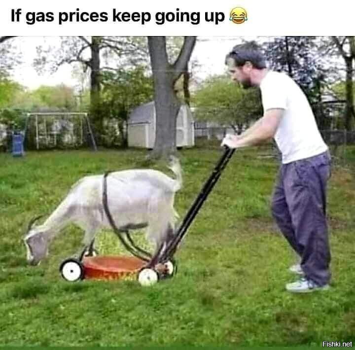 если цены на бензин будут расти