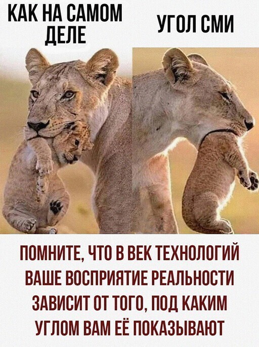 Смешные и познавательные картинки