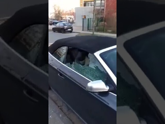 В Гамбурге машины с Русскими номерами разбивают и отрывают номера 
