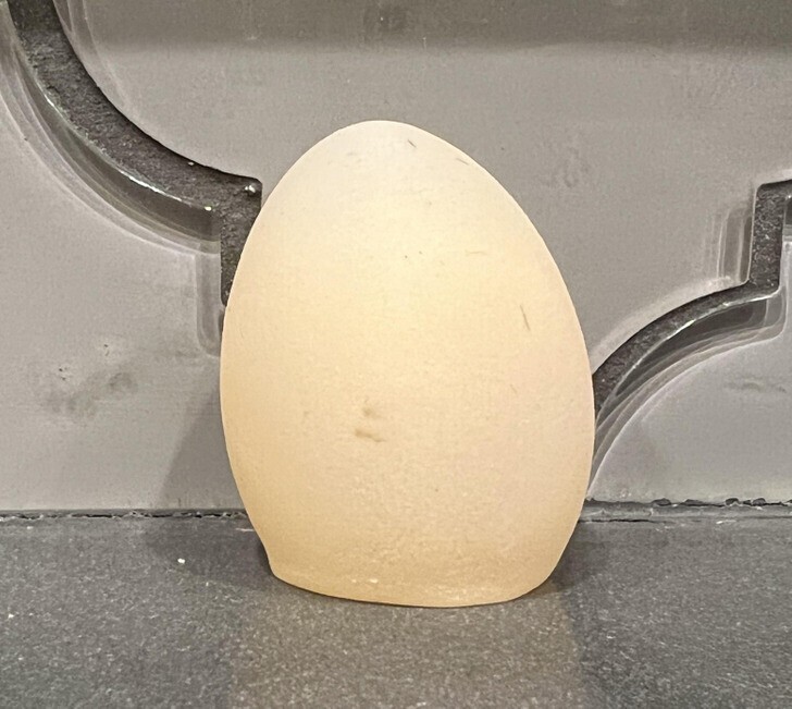 "Моя курица снесла "мягкое" яйцо. Это явление вызвано низким уровнем кальция"