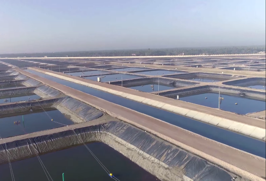 Проект "Беркет Галиун". Египет поэтапно создаёт крупнейшую на планете рыбную ферму