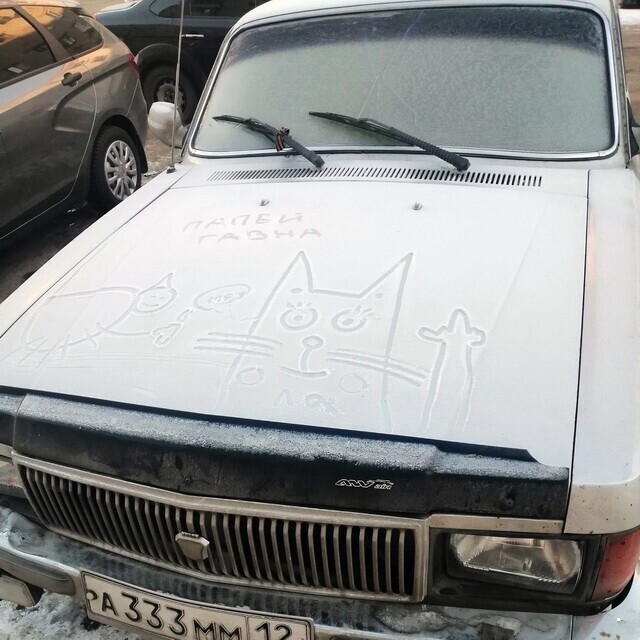 Автовсячина