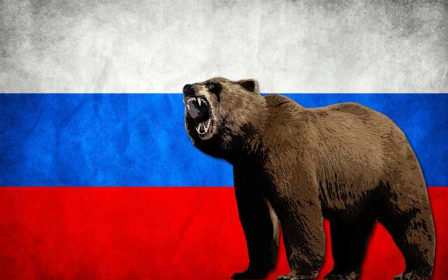 The American Conservative: Мы разбудили российского медведя