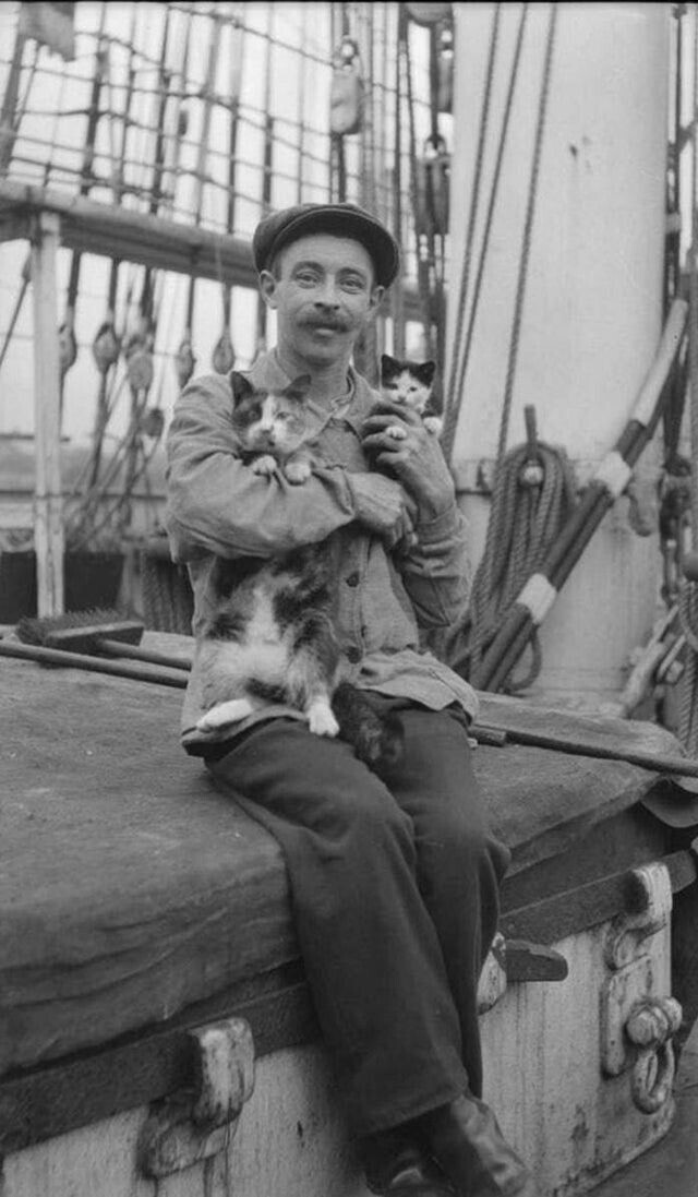 Моряк фотографируется со своими кошками, которые всегда идут в плаванье вместе с ним, США, 1910 год
