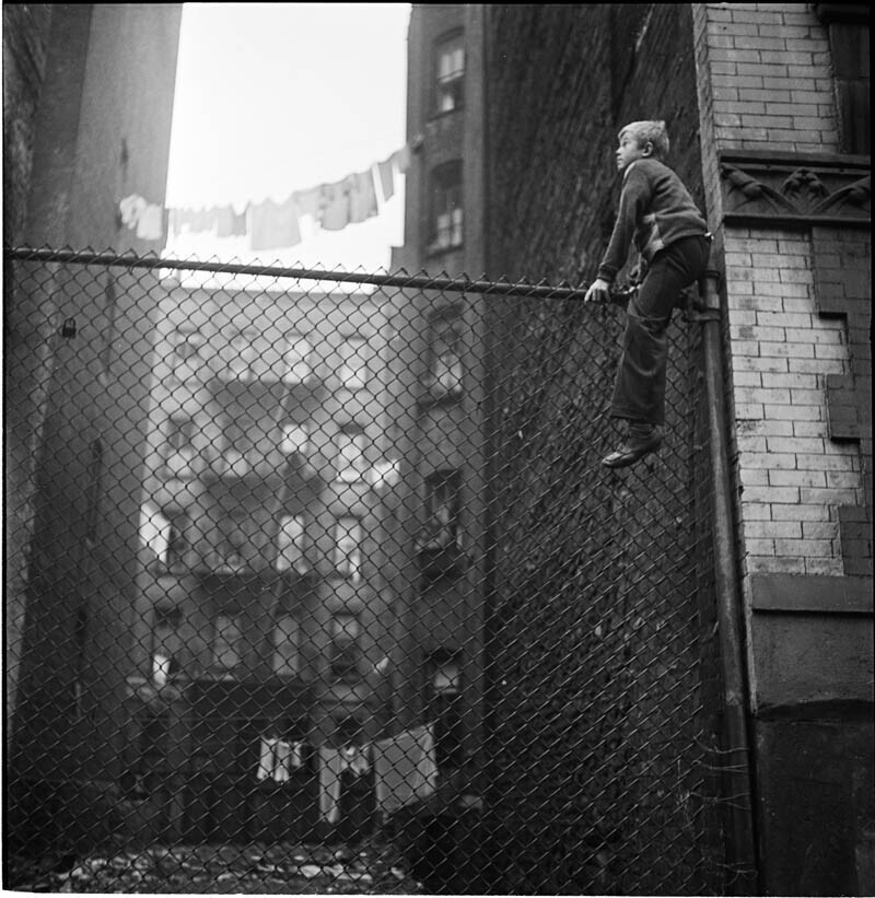 На заборе, 1947 год.