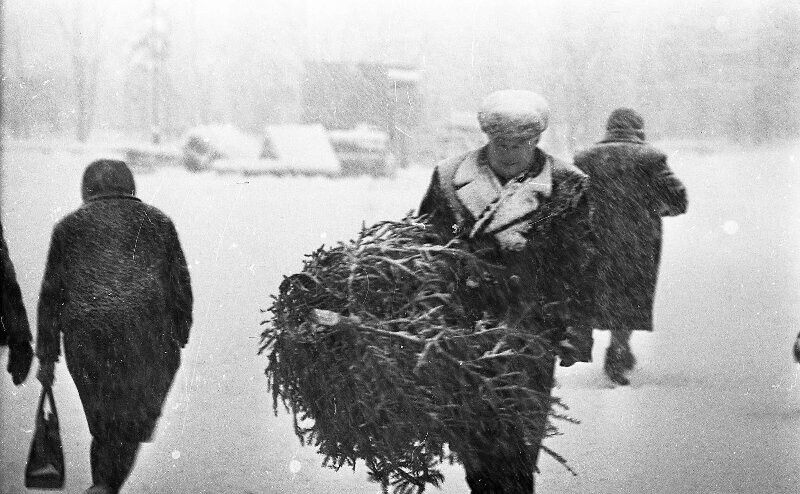 На краю земли: остров Сахалин