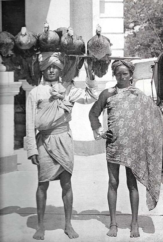 Торговец павлинами. Бомбей. Индия. 1926 год