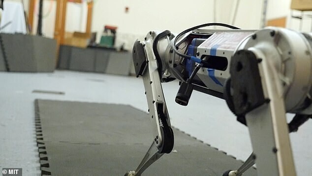 Четвероногий терминатор:  разработчики показали робота-гепарда