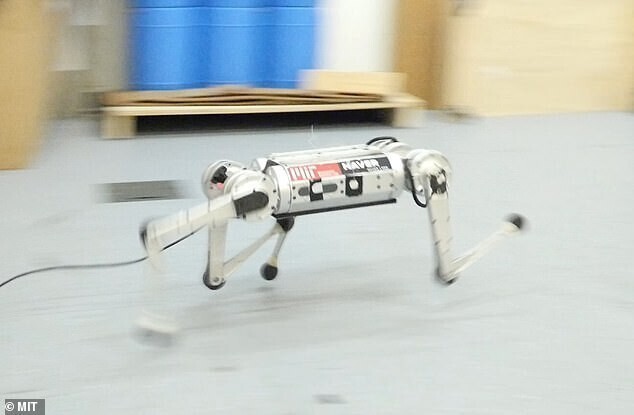 Четвероногий терминатор:  разработчики показали робота-гепарда
