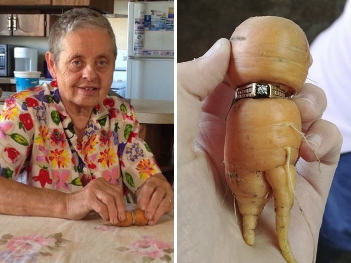 3. Женщина потеряла обручальное кольцо в саду и нашла его 13 лет спустя на морковке