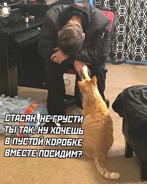 Смешные и познавательные картинки