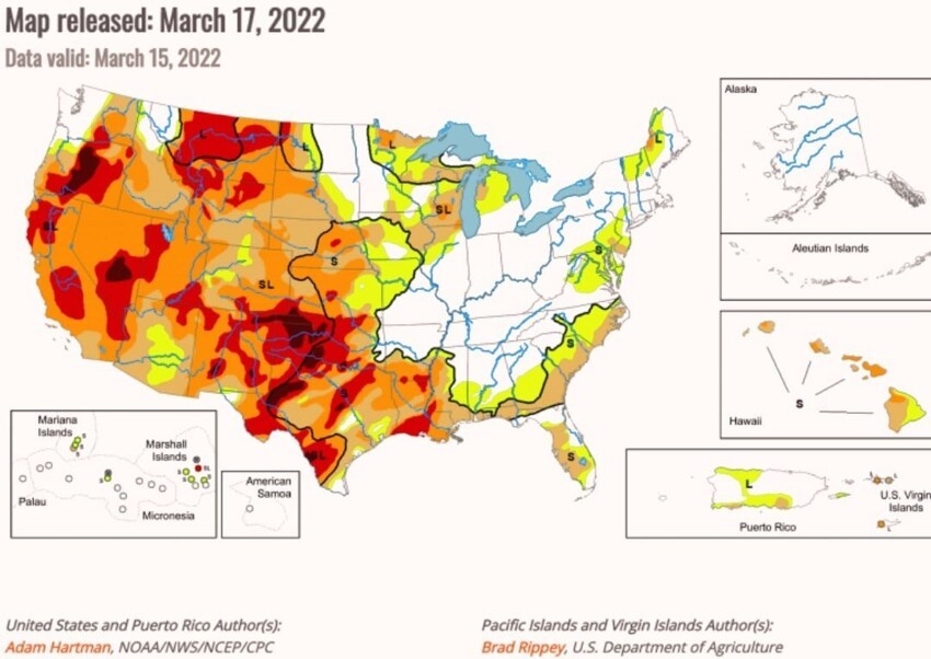Сильная засуха и “условия пыльной чаши” угрожают создать катастрофический урожай озимой пшеницы в США. 20 марта 2022 года Майкл Снайдер