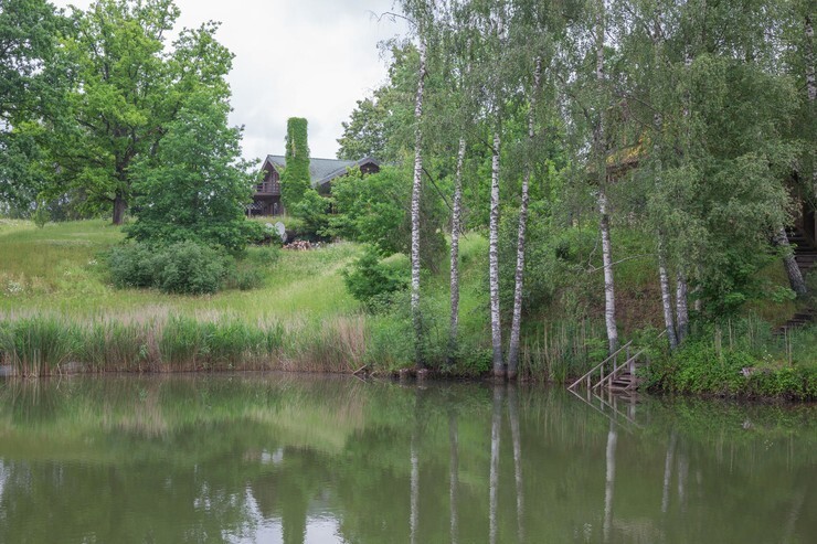 Дом на берегу пруда за 300 тысяч евро: как Чулпан Хаматова устроилась в Латвии