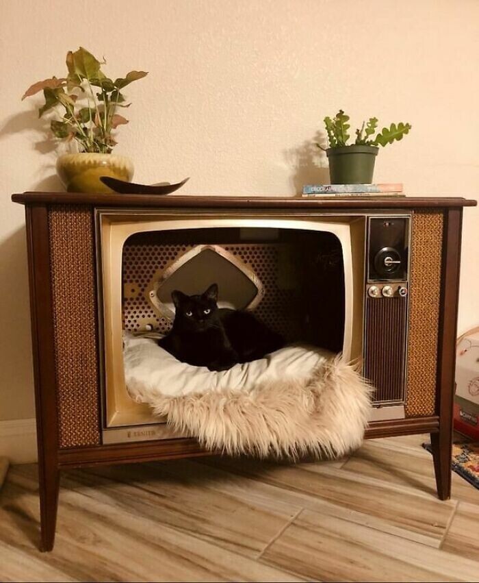 16. "Телевизор "Зенит" 1960-х. Мы сделали в нем домик для кота"