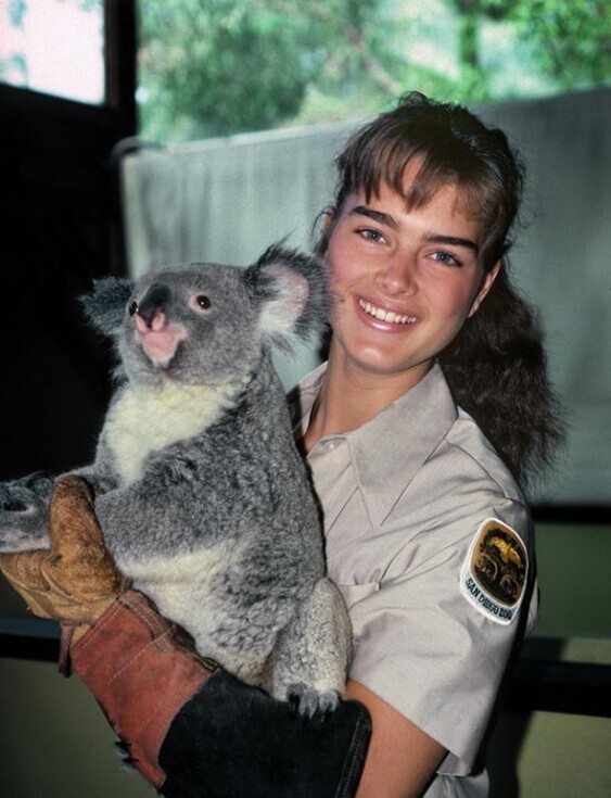 Брук Шилдс на стажировке в зоопарке Сан-Диего, 1983 год.