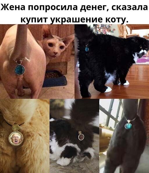 Смешные и познавательные картинки