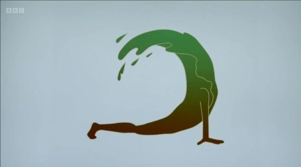 11. "Логотип морского круиза навевает мысли о купании в сточных водах"