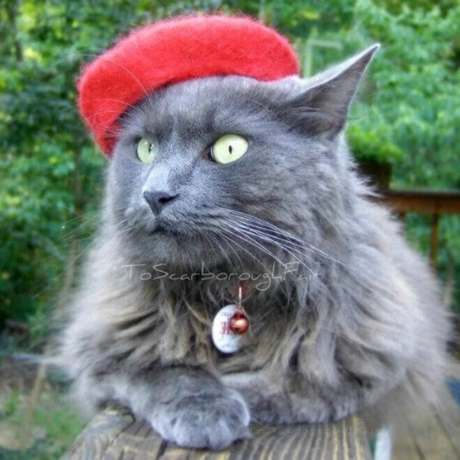Симпатичные кошачьи шляпки от дизайнера Амели Сегарчану