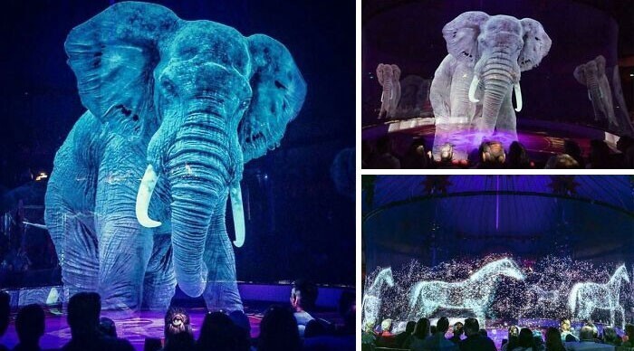 1. Немецкий цирк показывает голограммы вместо настоящих животных, чтобы зрители насладились волшебством без жестокости. И это очень круто