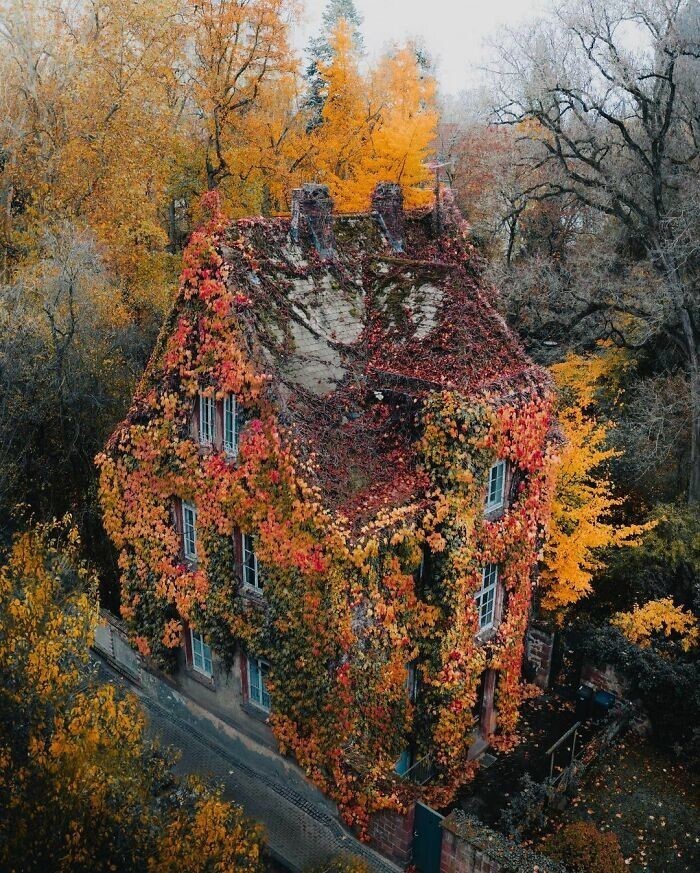 15. Этот дом, заросший плющом, находится в ботаническом саду Гиссена, старейшем ботаническом саду Германии